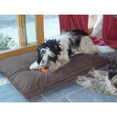 coussin moelleux