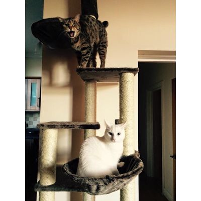 They love it