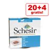 20 + 4 gratis! 24 x 150 g Schesir per cani - Pollo con Prosciutto