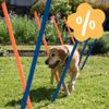 Prezzo speciale! Slalom-Set Agility Fun & Sport - 12 pz