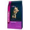 Eukanuba Kitten Healthy Start - Set %: 2 x 4 kg