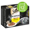 Sheba Variazioni Buste 12 x 85 g - Selezione in Salsa Variazioni di Pollame