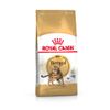 Royal Canin Bengala Set %: 2 x 10 kg