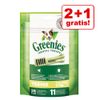 2 + 1 gratis! 3 x Greenies Snack - Igiene Dentale - 3 x 340 g Petite