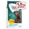 12 kg + 1,5 kg - Concept for Life Dog Overfill - Large Junior