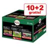 10 + 2 gratis! 12 x 85 g Nutro Wild Frontier misto per gatti - 12 x 85 g