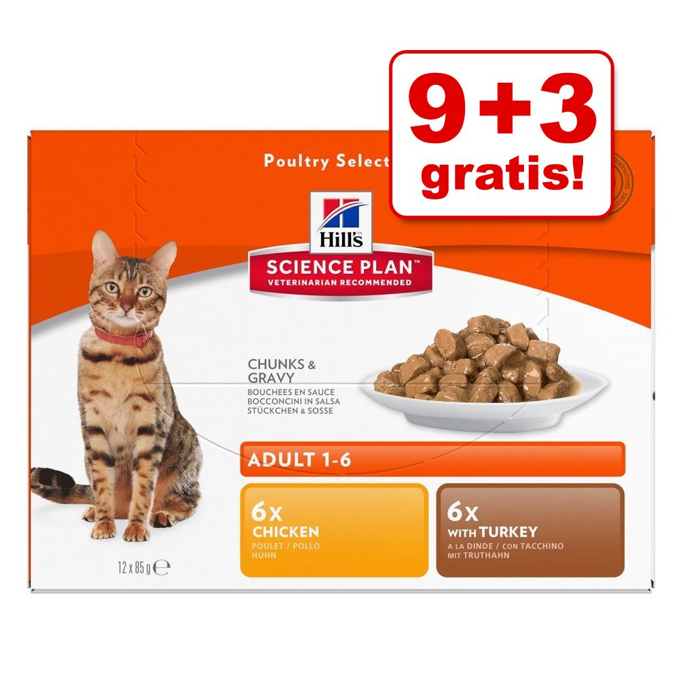 9 + 3 gratis! 12 x 85 g Hill�s Feline Frischebeutel Adult Huhn, Seefisch, Rind