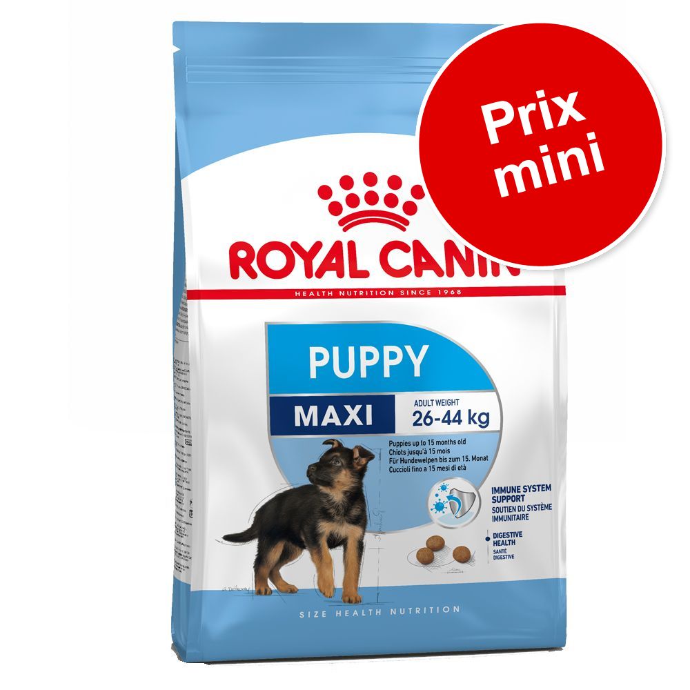 4kg Medium Puppy/Junior + 4kg Medium adult Royal Canin croquettes pour chien