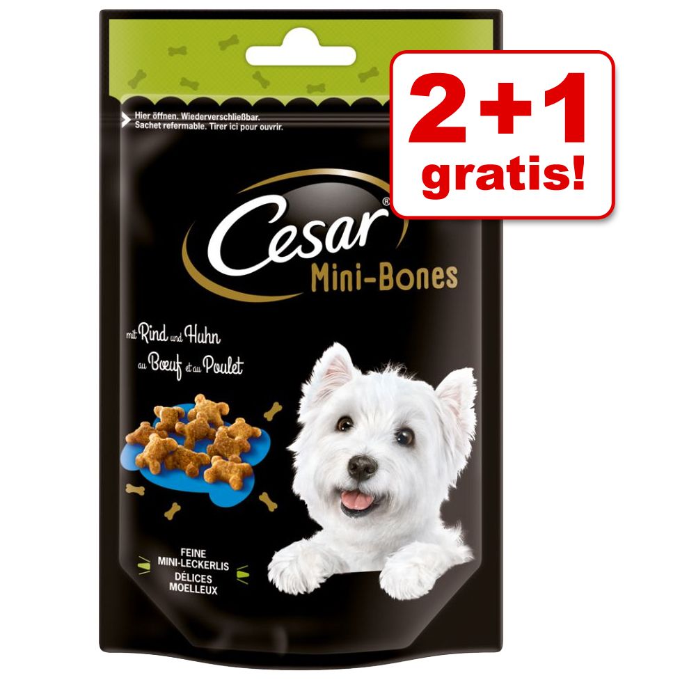 2 + 1 gratis! 3 x 75 / 100 g Cesar Mini Snacks - Mini Bones mit Rind und Huhn (3 x 75 g)