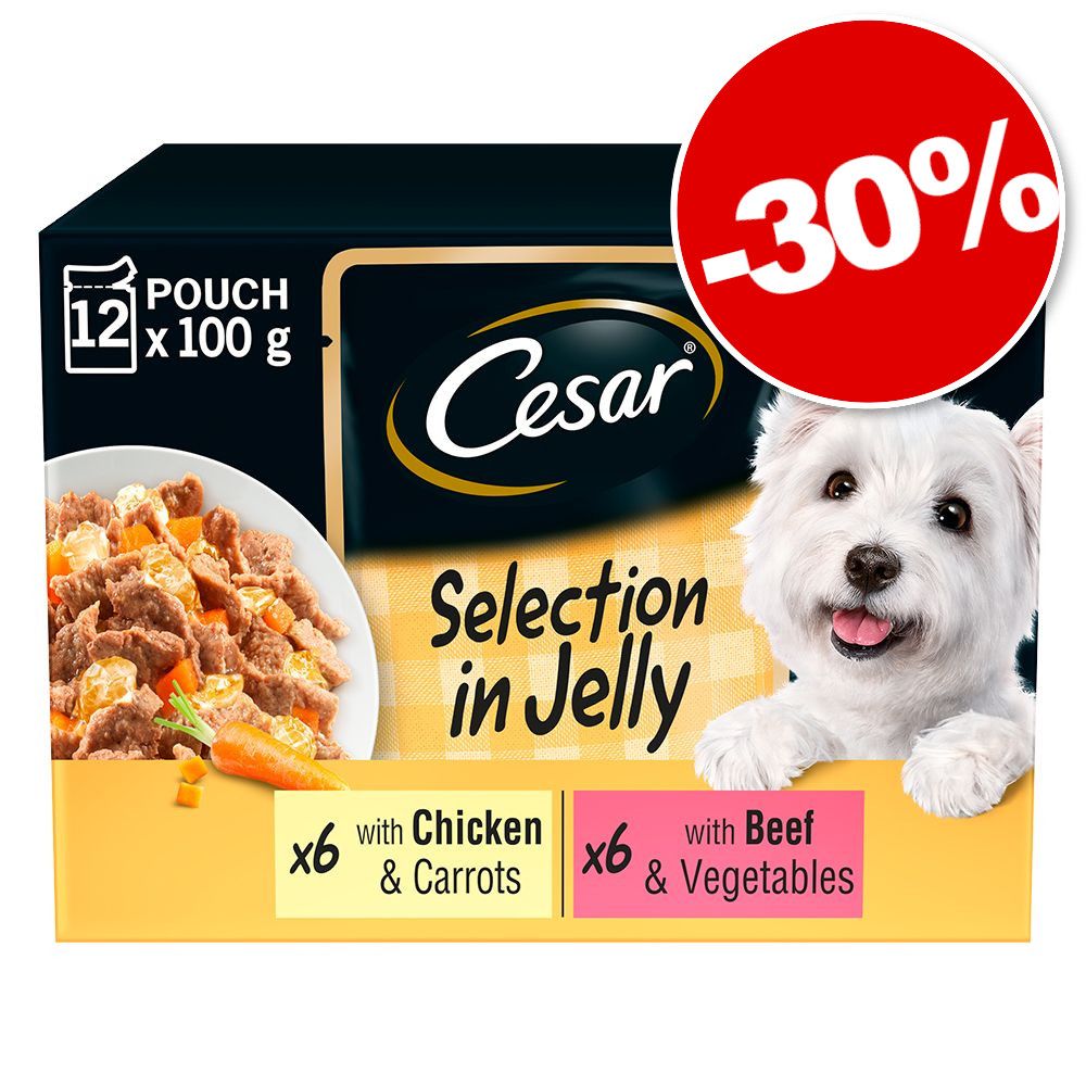 Chien Cesar 10