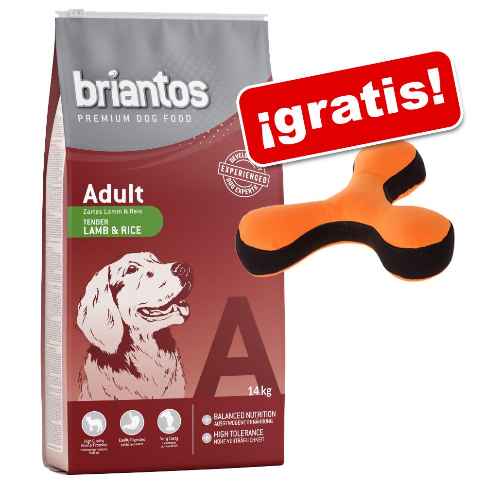 Image of Briantos 14 kg pienso para perros + juguete volador ¡gratis! - Adult Active 04260358510880