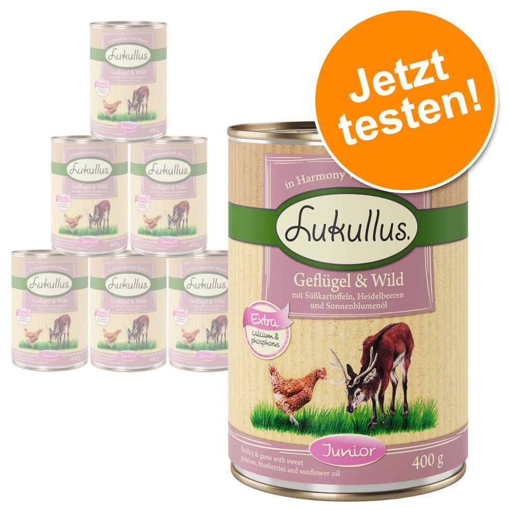 Lukullus Junior gemischtes Probierpaket - 6 x 400 g