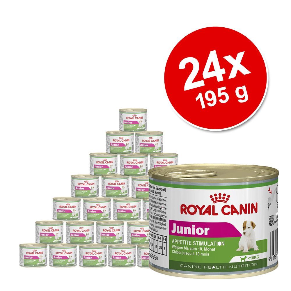 Image of Pack Ahorro: Royal Canin 24 x 195 g - Starter Mousse 09003579311462