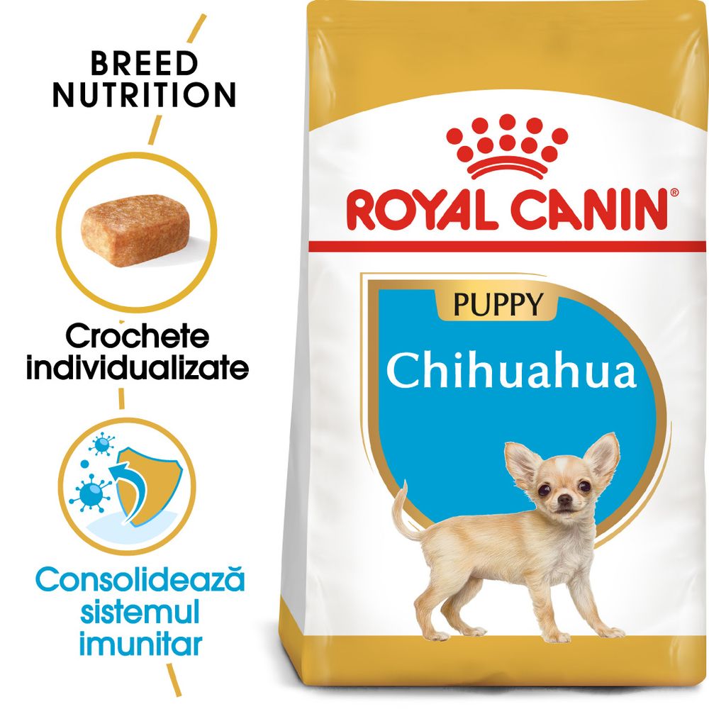 1,5kg Chihuahua Junior Royal Canin Breed Hrană uscată câini