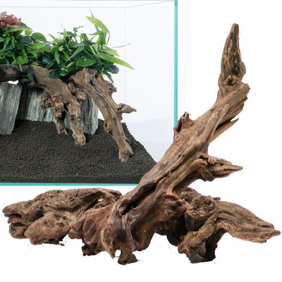 Aquadeco Rivierwortel L 4 Stuks 10 60 Cm Ca 46 Kg aquadeco kopen in de aanbieding