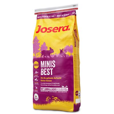 dealing med hundens separasjonsangst dealing med hundens separasjonsangst