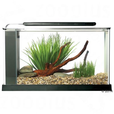 Fluval SPEC 5 Nano Aquarium – valkoinen, P 52 x L 19 x K 29,5 cm