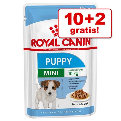 10 2 12 X 85 G Royal Canin Mini Hondenvoer Adult royal canin kopen in de aanbieding