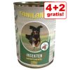 4 + 2  gratis! 6 x 400 g Caniland Insekten  - Patate della landa e Pastinaca