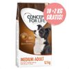 10 kg + 2 kg gratis! 12 kg Concept for Life Crocchette per cani - Large Senior