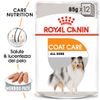 Royal Canin Coat Care umido - Set %: 24 x 85 g