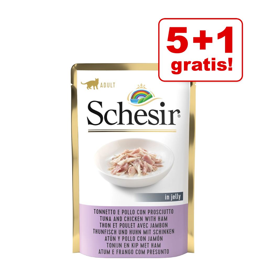 5 + 1 på köpet! 6 x 85 g Schesir Jelly Pouch – Tonfisk med kyckling & skinka