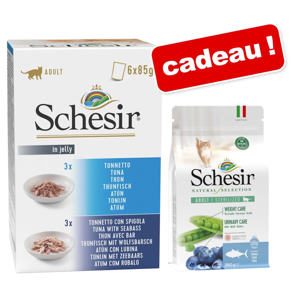 5x85g thon, bar en gelée Schesir nourriture humide pour chat + 1 sachet offert!