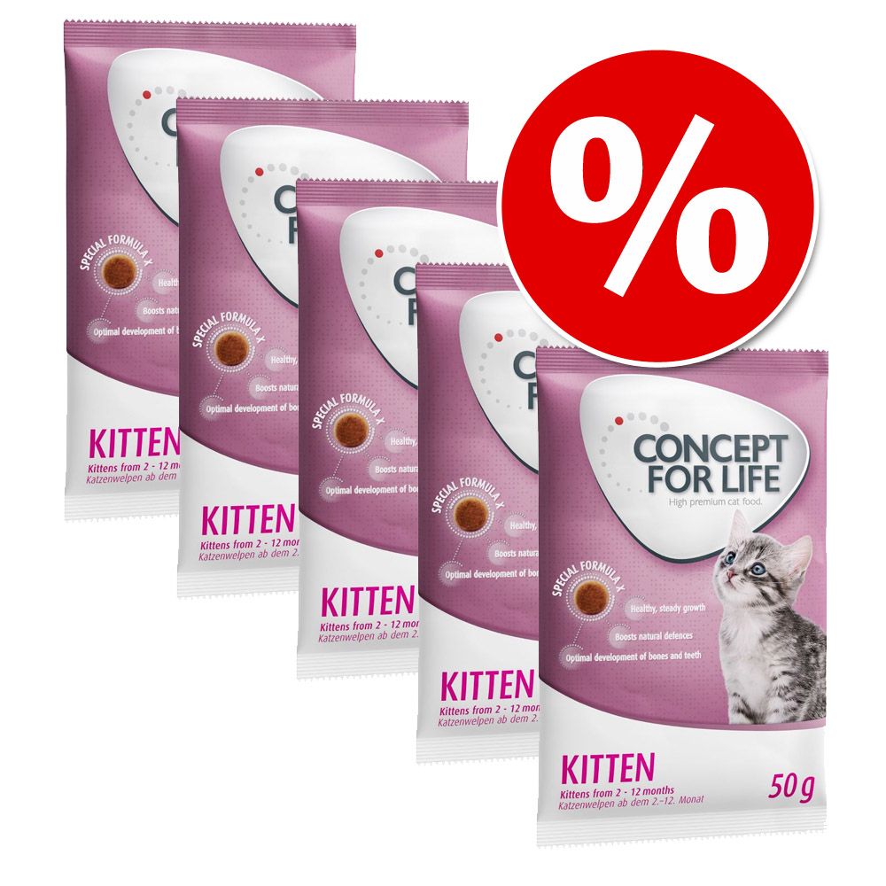 Image of Concept for Life 5 x 50 g = 250 g - Maine Coon Adult 04260358513676