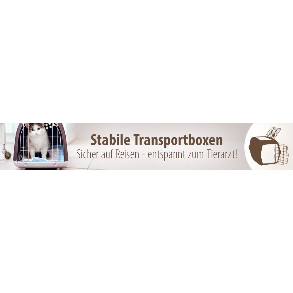 Stabile Transportboxen für Katzen