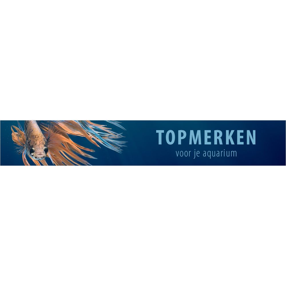 Topmerken voor je aquaria