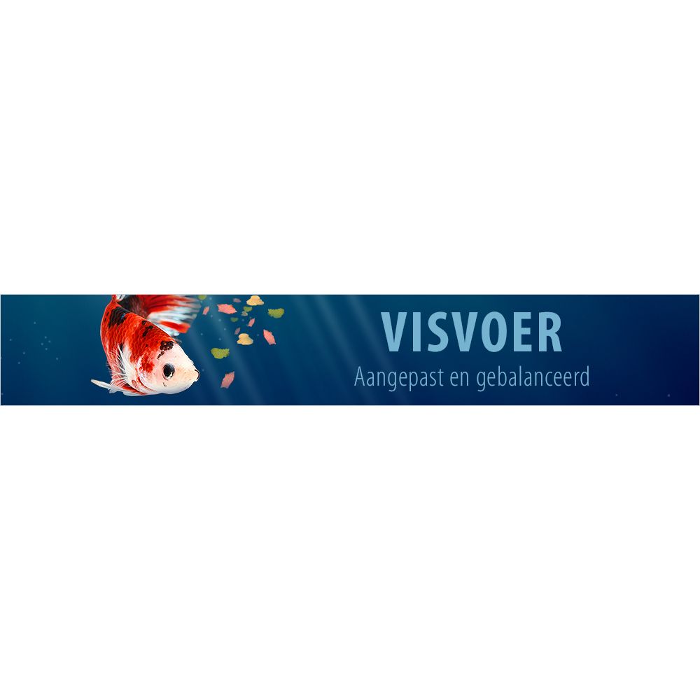 Visvoer