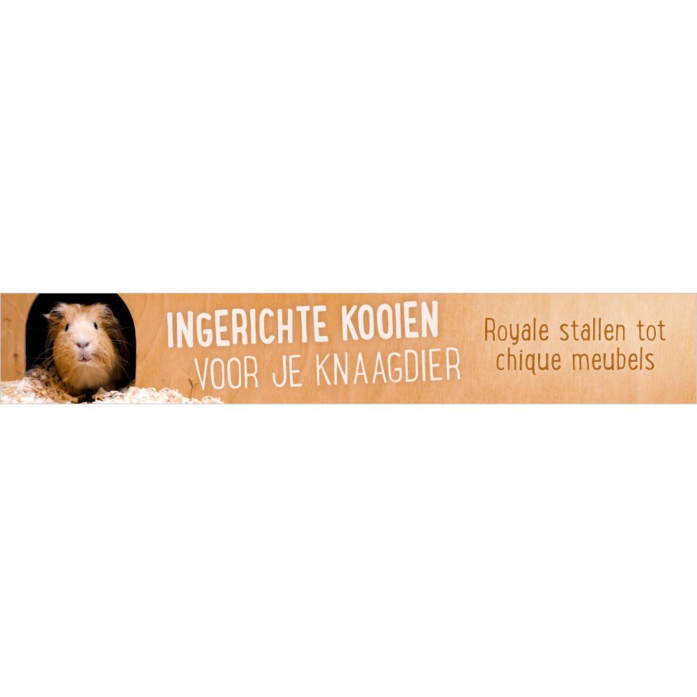 Kooien