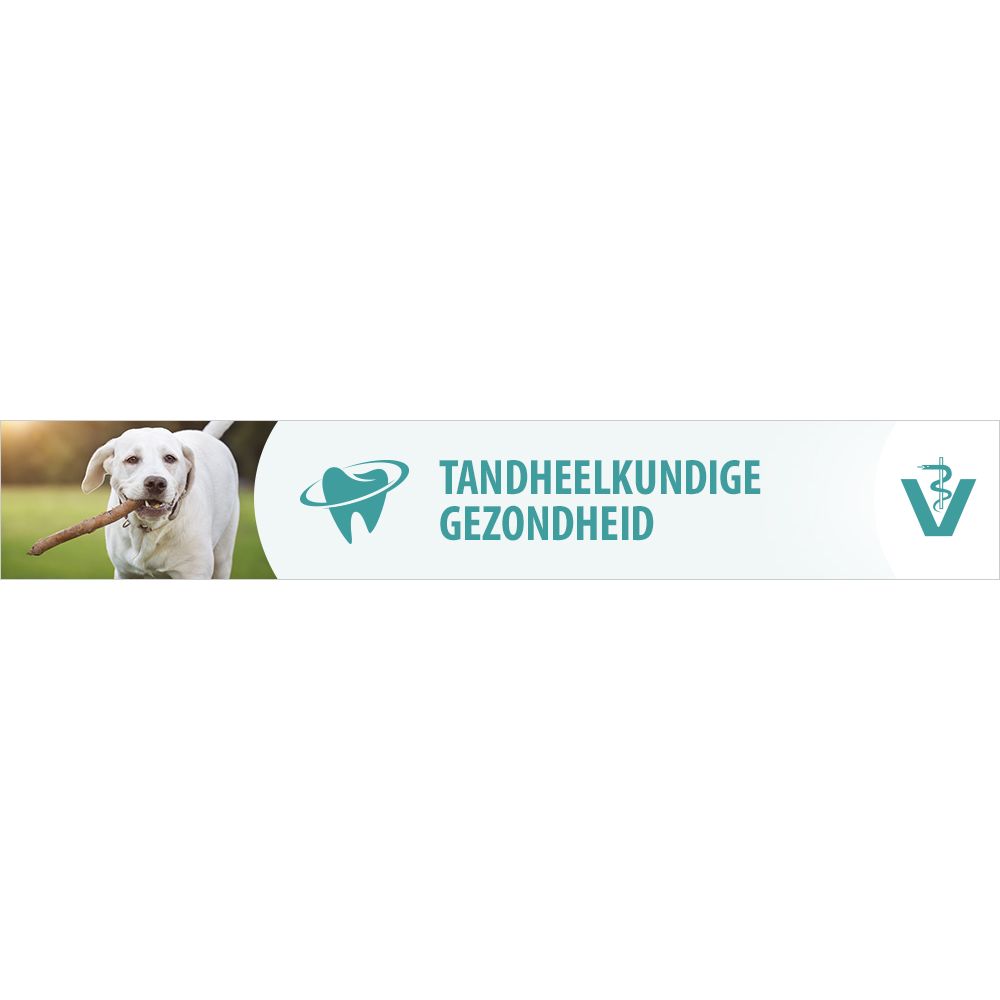 Tandheelkundige gezondheid