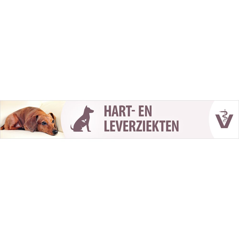 Hart- en Leverziekten