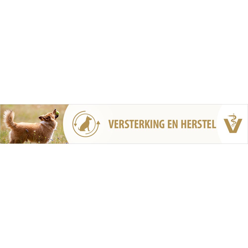 Versterking en Herstel