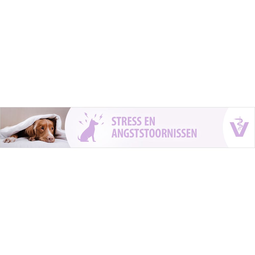 Stress en Angststoornissen