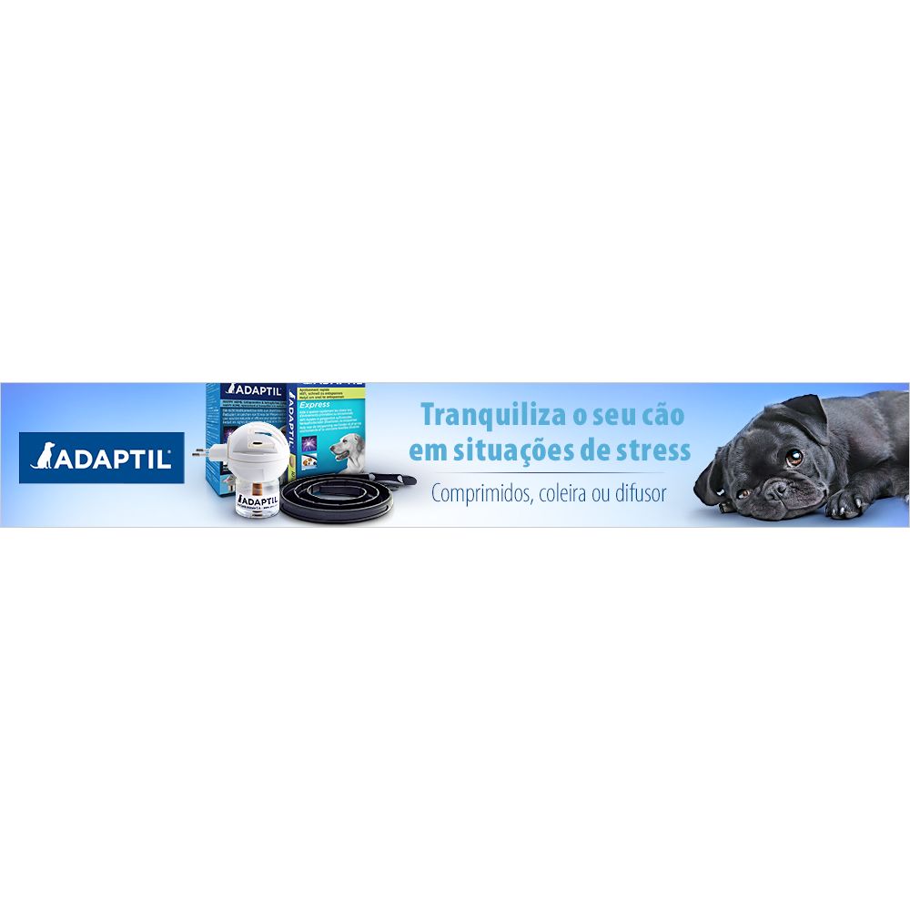 Adaptil para cães
