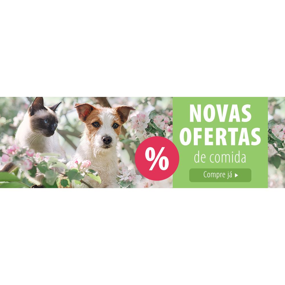Ofertas de comida primavera