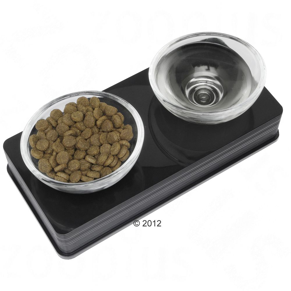 Image of Comedero Catit Design Glass Diner negro - 2 x 200 ml 00022517545317