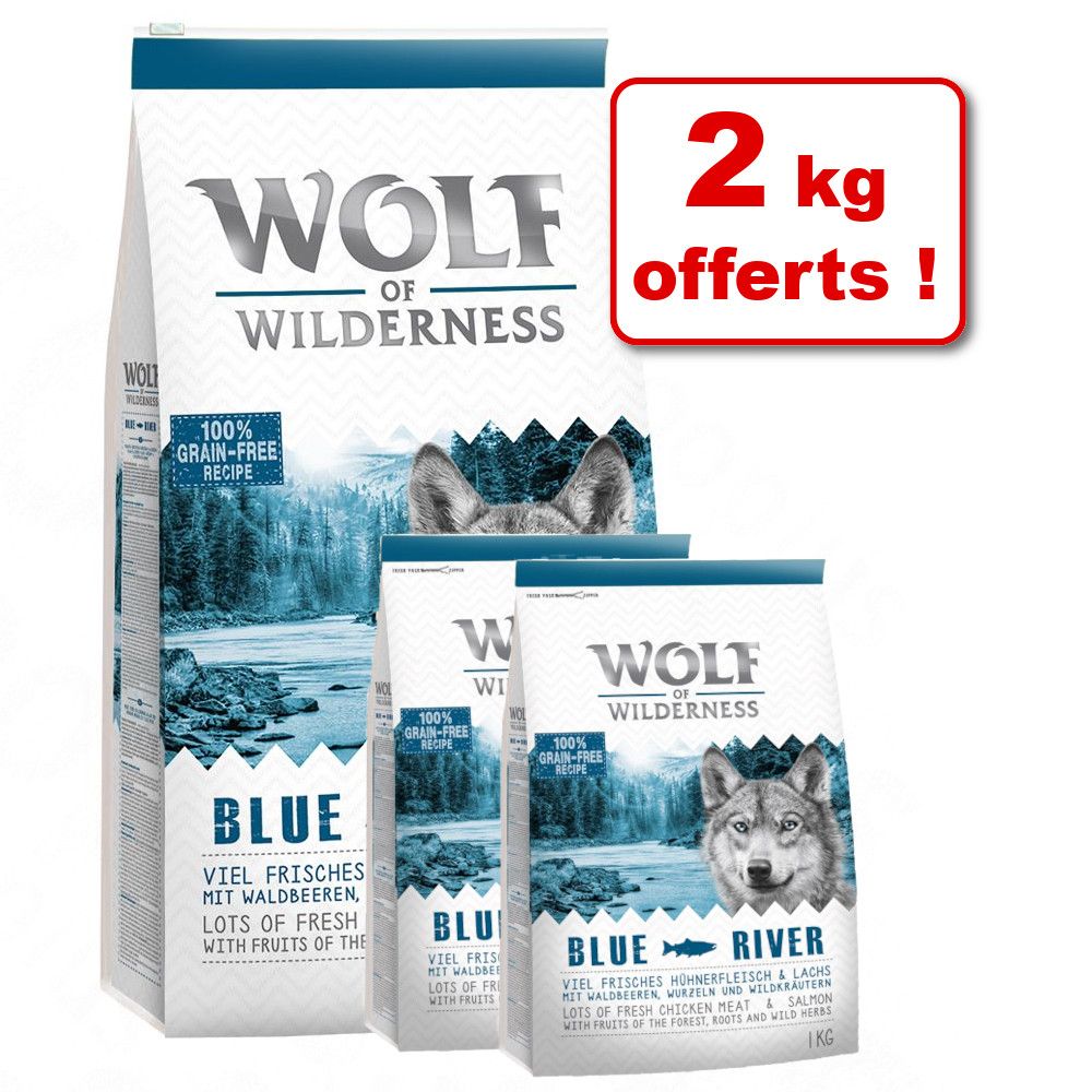 12kg Elements Rocky Canyons, bœuf Wolf of Wilderness - Croquettes pour chien