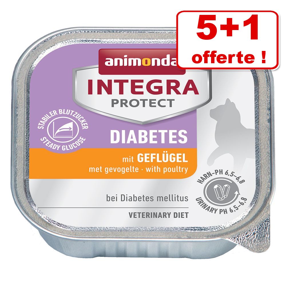 6x100g Sensitive, pur poulet Integra Protect Animonda nourriture humide pour chat