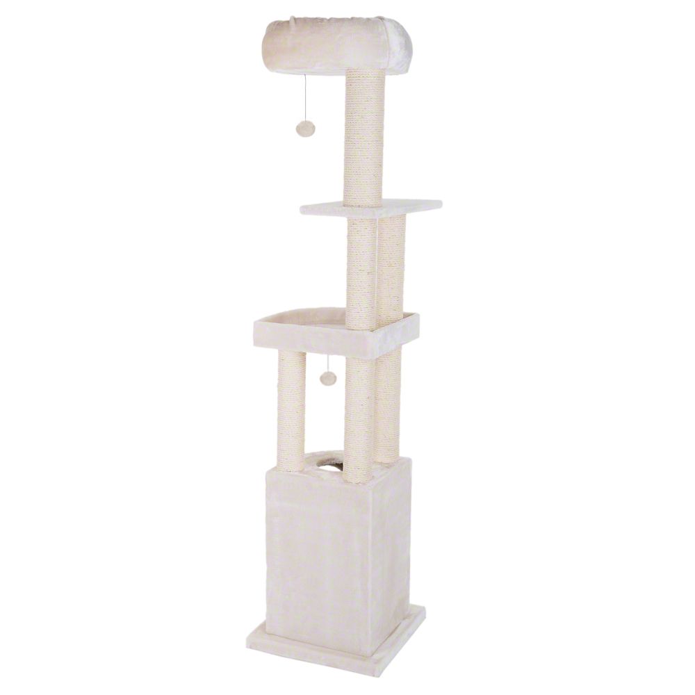 Cat Trees And Scratch Posts