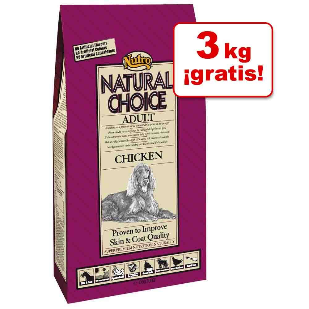 Image of Nutro Choice 15 kg en oferta: 12 + 3 kg ¡gratis! - Adult Cordero y arroz (15 kg) 05998749132708
