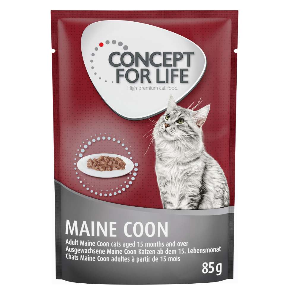 111112 PLA Concept For Life Katze Nass Maine Coon 85g 1 