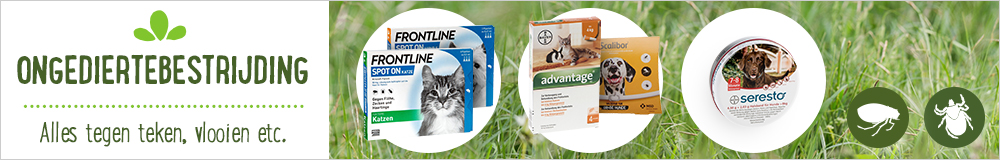 Ongediertebestrijding voor je hond