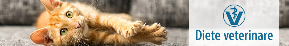 Diete veterinare pentru pisici