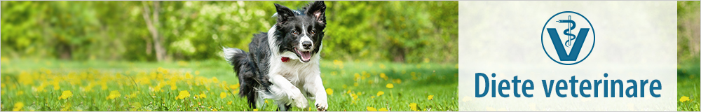 Diete veterinare pentru câini