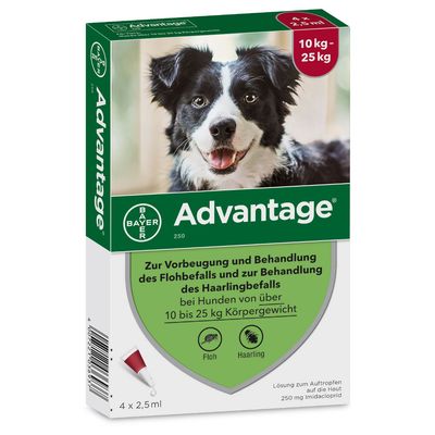 - Advantage® 250 für Hunde Advantage® 250 für Hunde