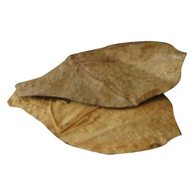 Dennerle Nano Catappa Leaves 12 Stuks dennerle kopen in de aanbieding