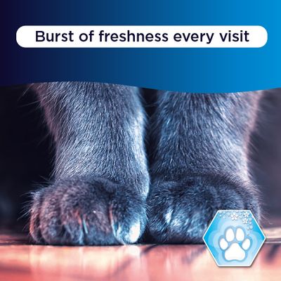 Svieže pri každom použití.